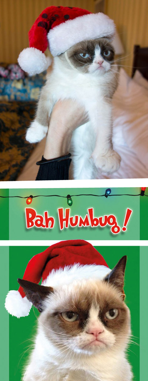 Grumpy Cat Christmas