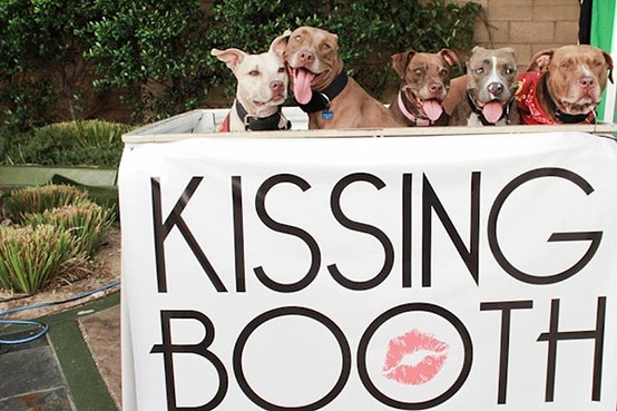 dog kissing booth