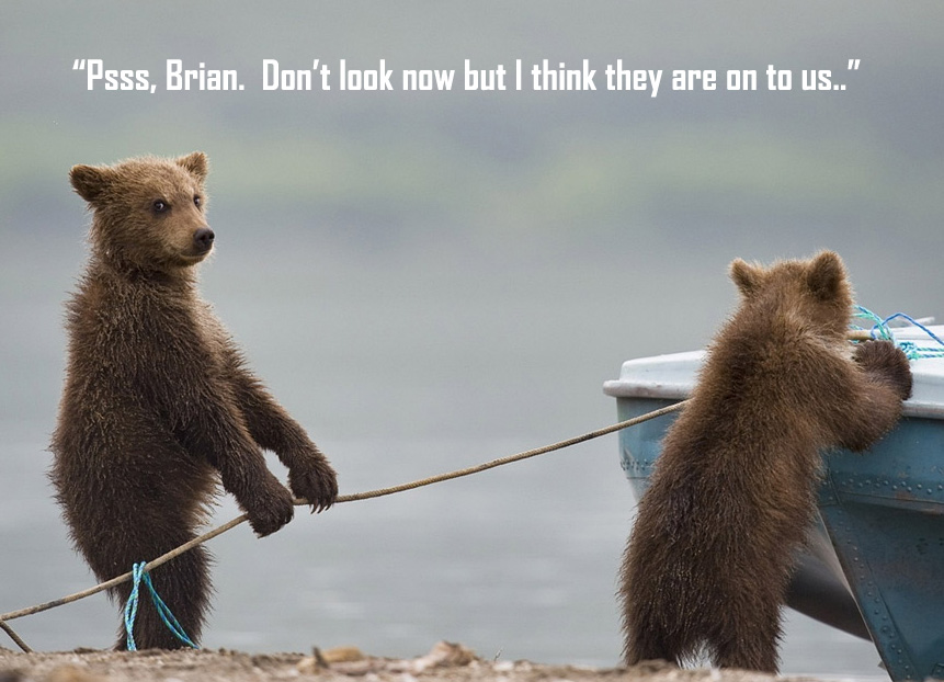 cute bears stealing boat