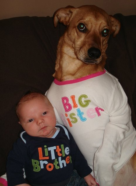 funny baby and dog