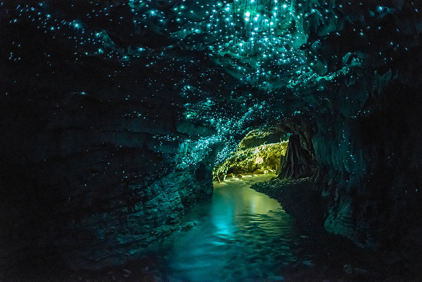 glow worm caves new zealand