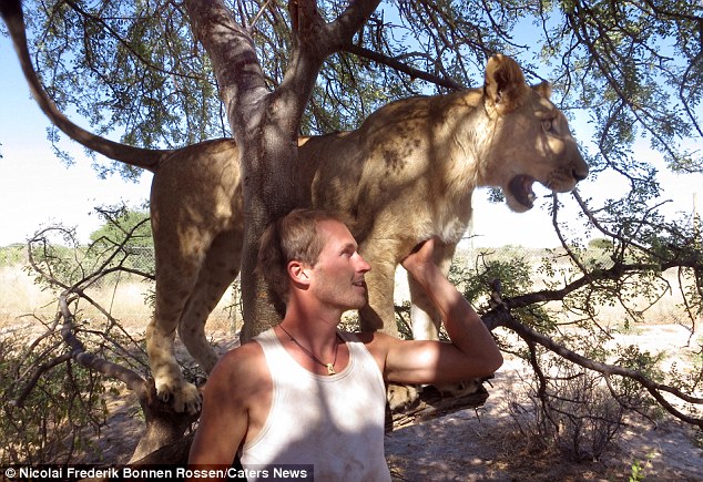 lion saved by two men