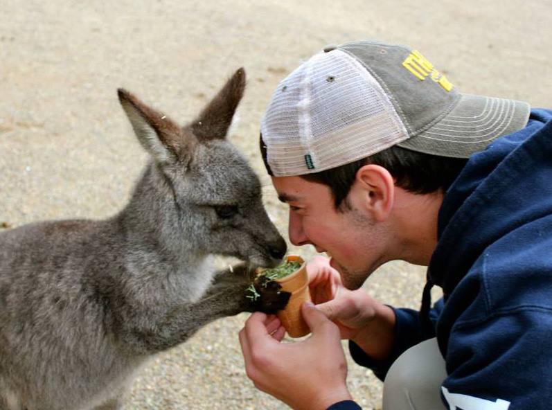 4i4ud-kangaroo-ice-cream.jpg