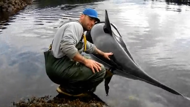 alaska fisherman save killer whale