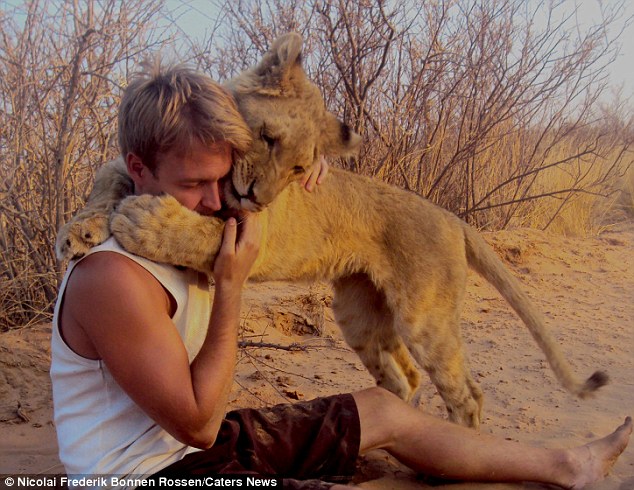 lion hug