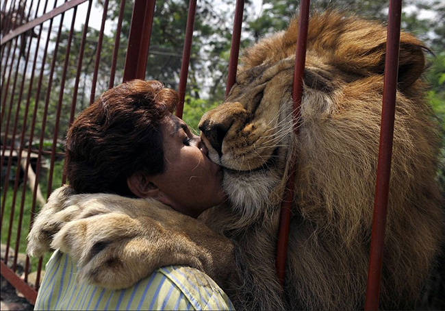 jupiter the lion kisses ana julia