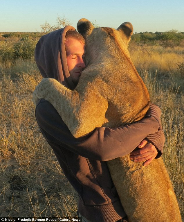 men save lion