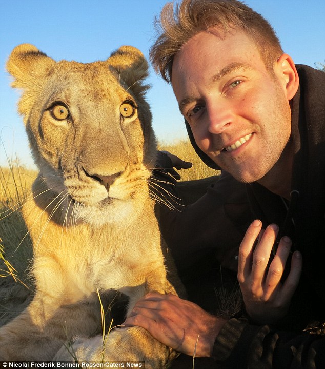 lion and man bonding