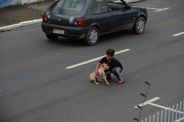 boy saves dog hit by car