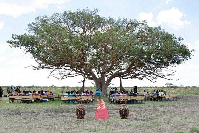 zimbabwe wedding