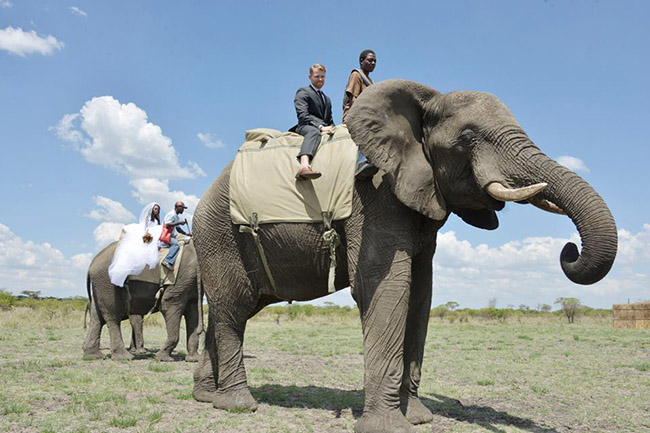 zimbabwe wedding