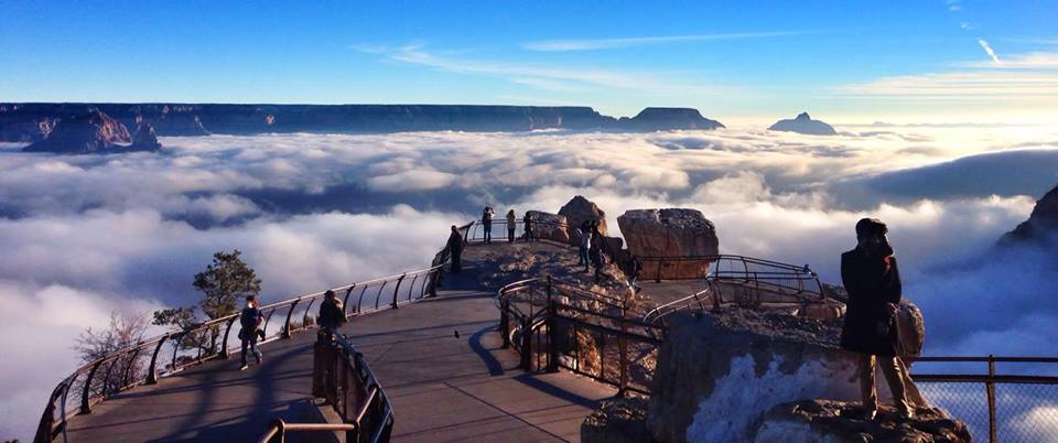 grand canyon filled with fog