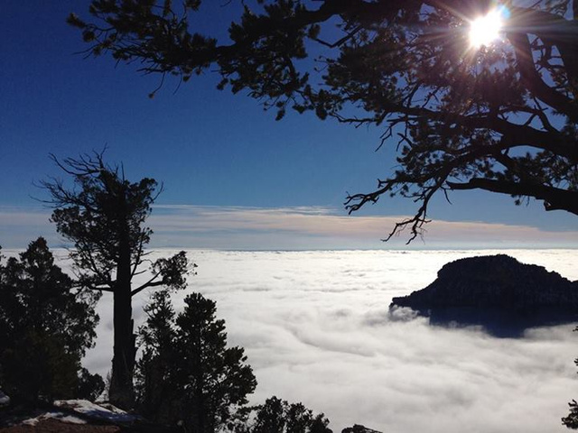 grand canyon fog