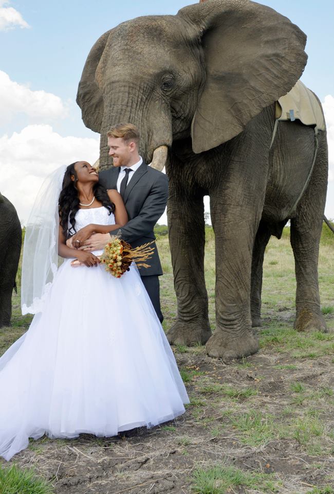 zimbabwe wedding