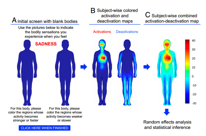 mapping human emotions