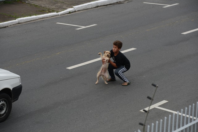 boy hero saves dog