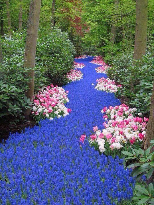 river of flowers netherlands