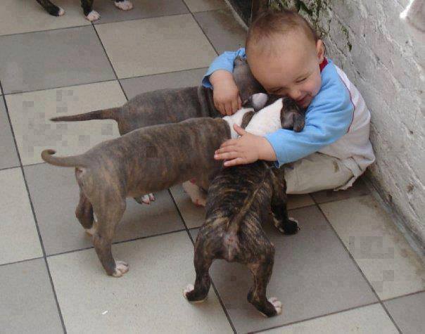baby hugging puppies