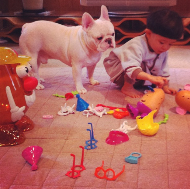 kids need dogs