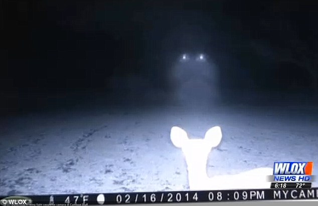 UFO deer Mississippi