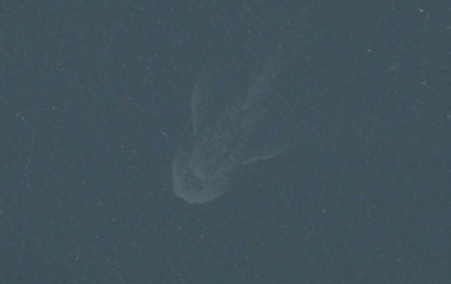 Loch Ness Monster