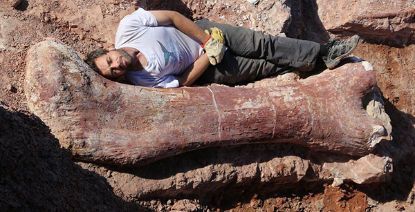 largest dinosaur found