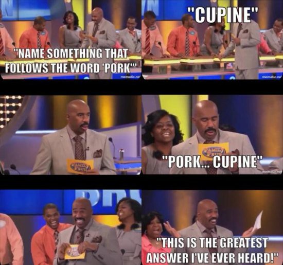 funniest family feud moments steve harvey