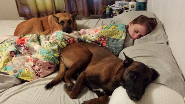 sleeping with pets