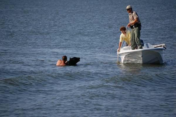 man saves bear from drowning