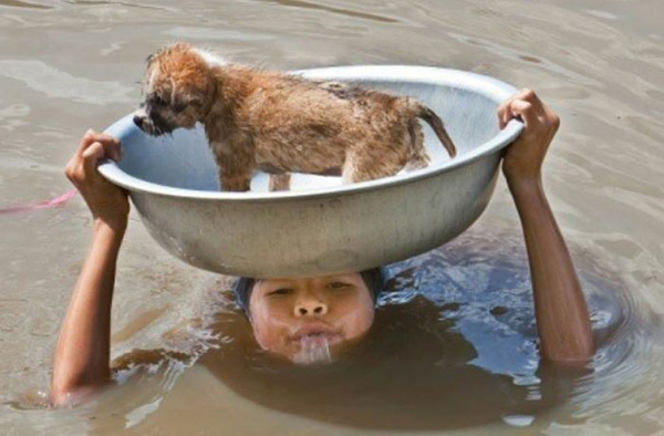 25 Photos Of People Doing AMAZING Things For Animals 25 Photos Of People Doing AMAZING Things For Animals