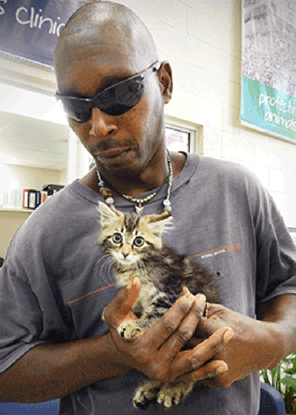 man cuts truck for cat