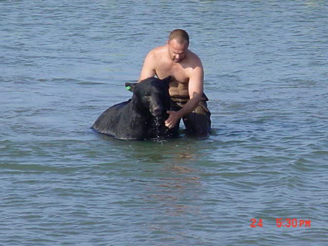 man saves bear from drowning