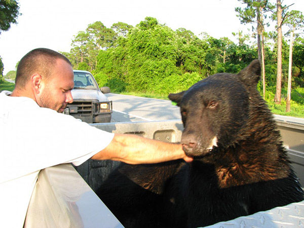 man saves bear from drowning