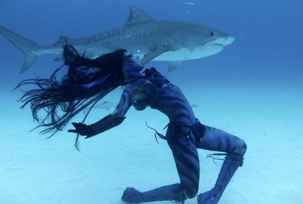 woman dances with sharks