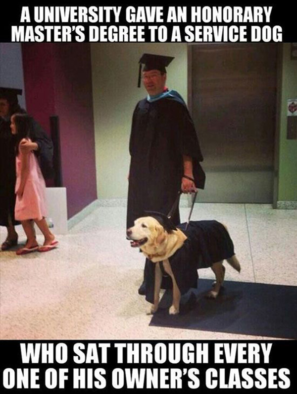 25 Photos Of People Doing AMAZING Things For Animals