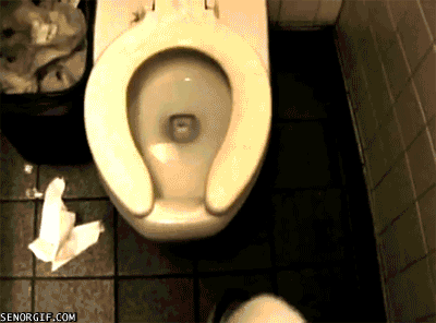 This giant spider in Australia will haunt your dreams