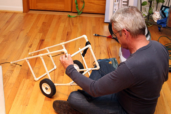 corgi wheel chair