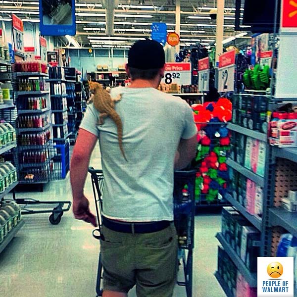 This Gallery Of Walmart Shoppers Prove A Picture Is Worth A Thousand Words