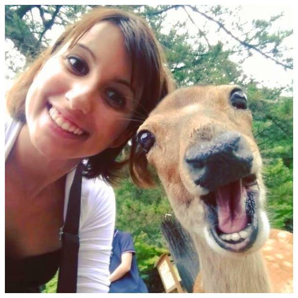 deer selfie