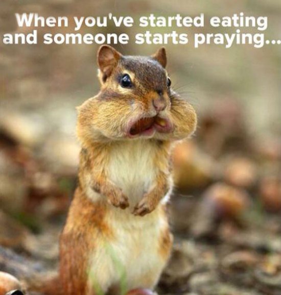 eating praying funny picture