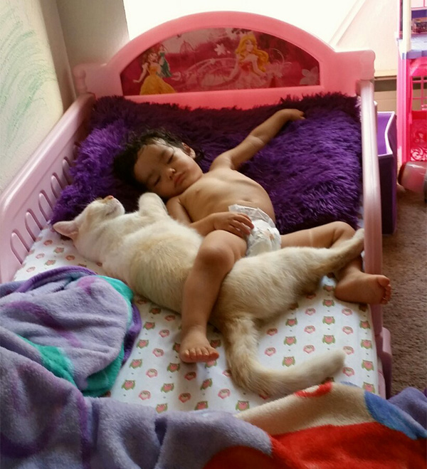 kid and kitty sleeping together