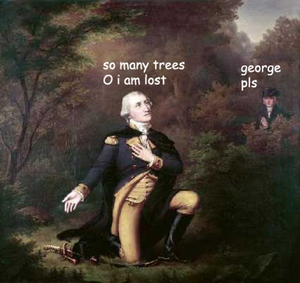 adventures of George Washington