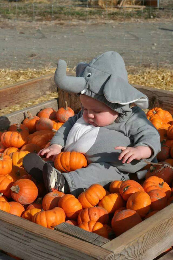 funny and cute baby Halloween costumes