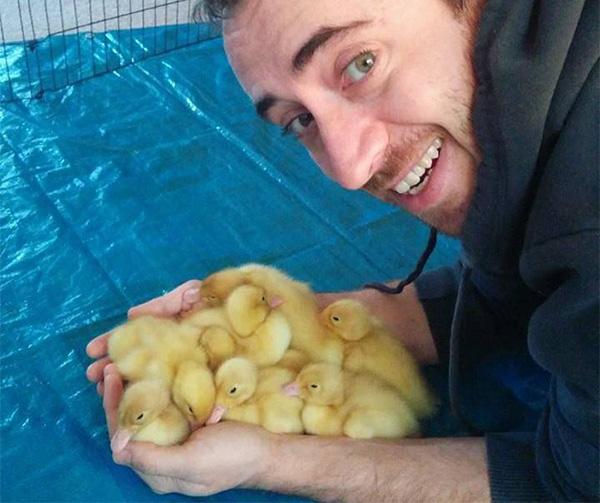 pure happiness ducklings