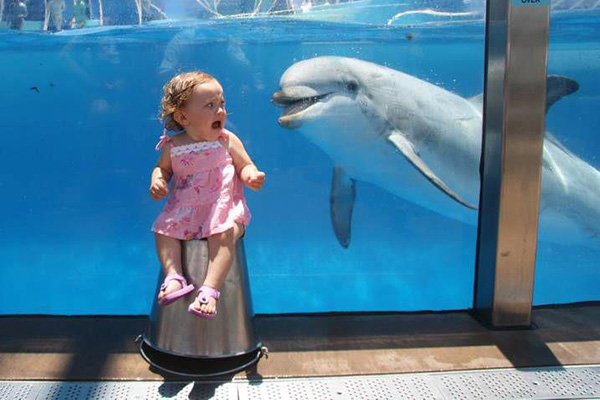 perfectly timed photos funny