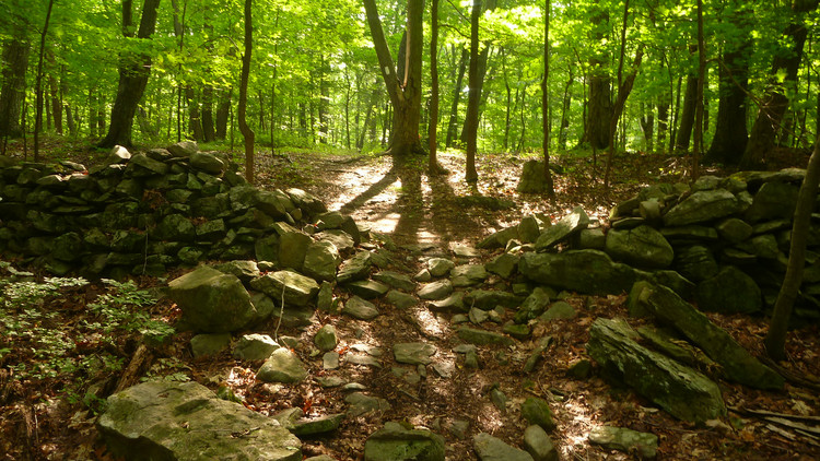 man hikes Appalacian Trail