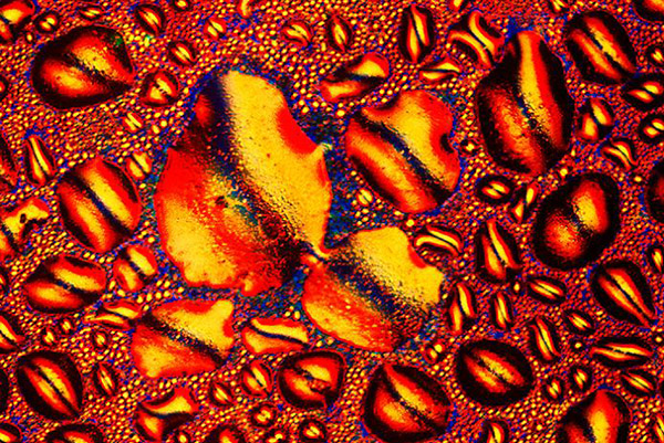 alcoholic drinks under microscope