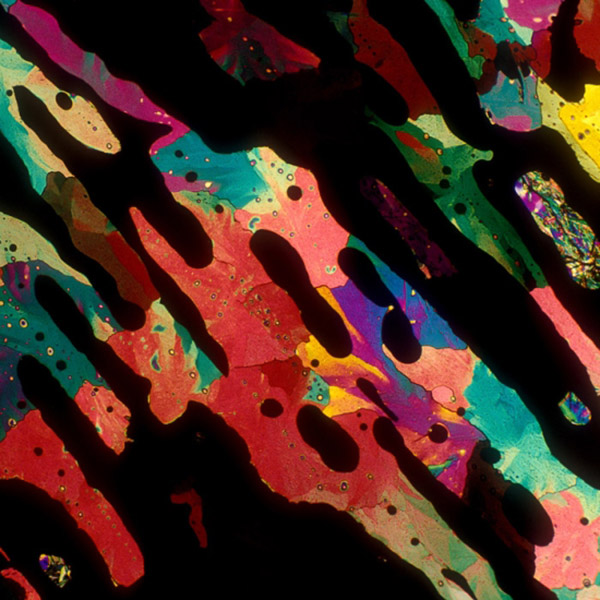 alcoholic drinks under microscope