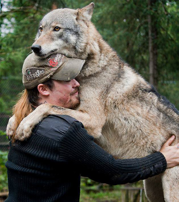 wolf hug