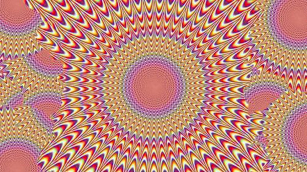 the best optical illusions